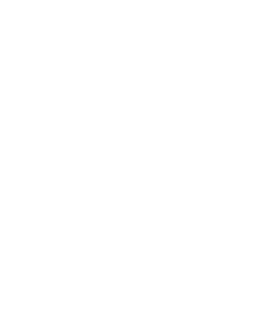 Protech